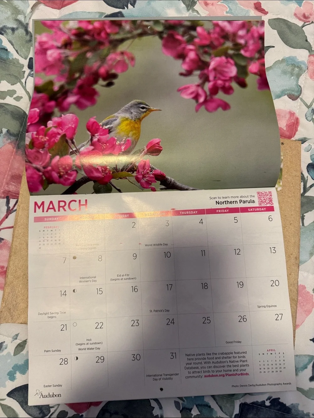 Protecting Birds and Nature 2027 Calendar